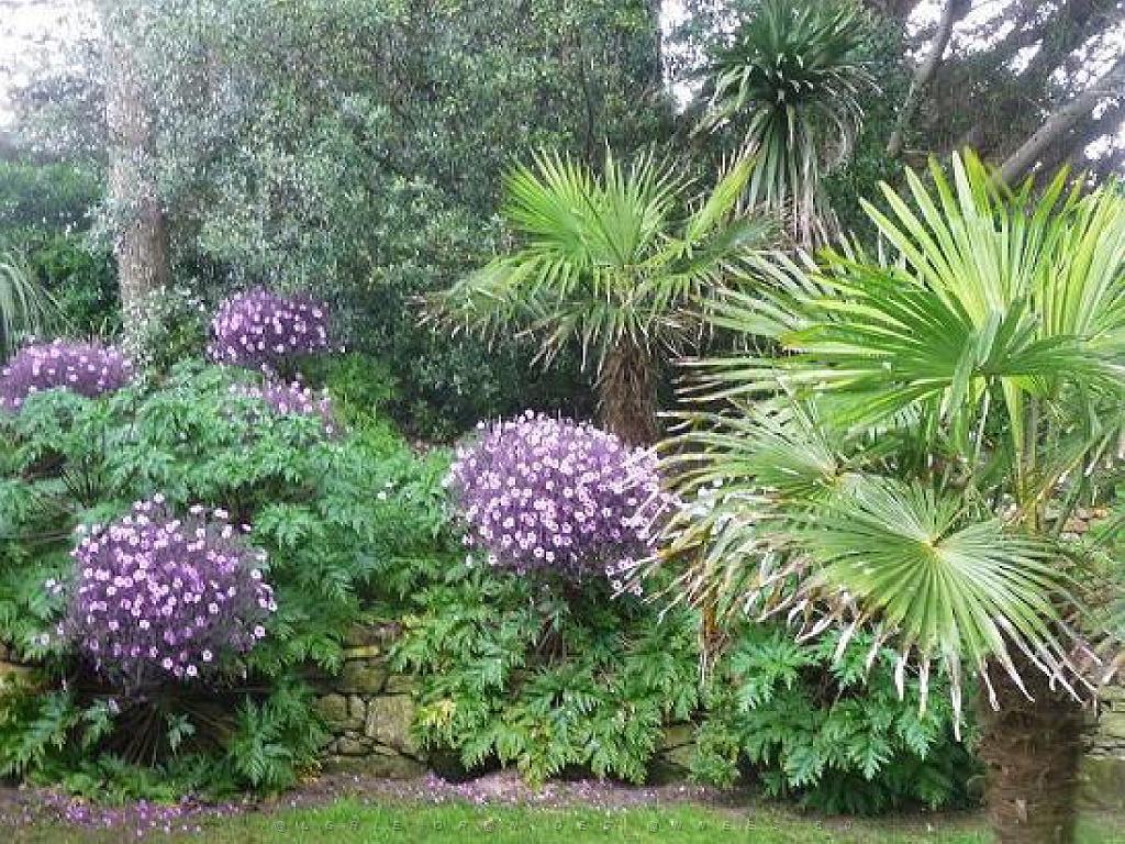 130 Ile de Batz Jardin Georges Delaselle_000005.jpg